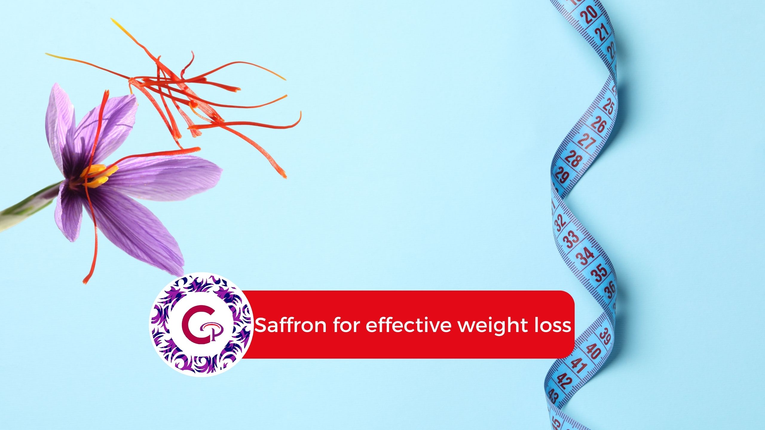 Saffron for effective weight loss